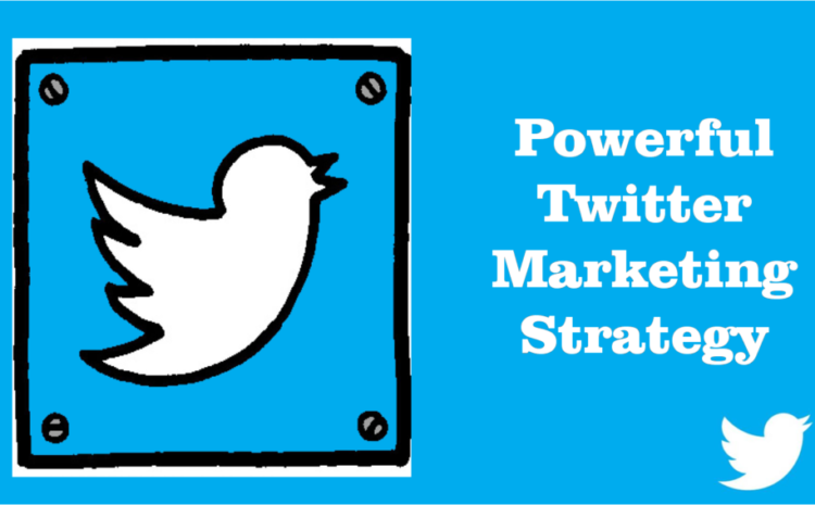 Twitter Marketing Expert Delhi