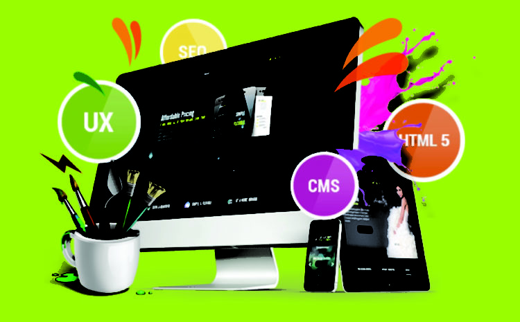 Website Designing Expert Delhi