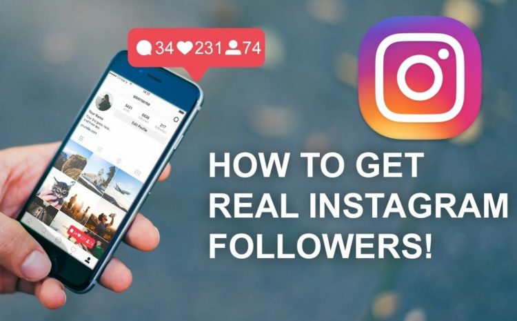 double your Instagram followers