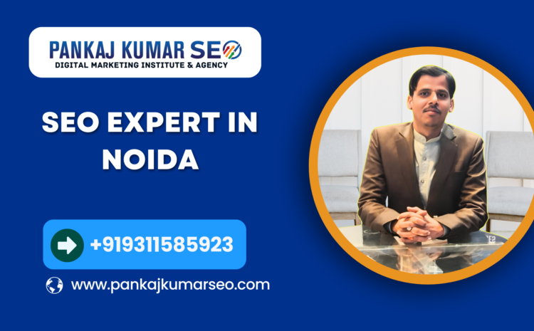 SEO Expert in Noida
