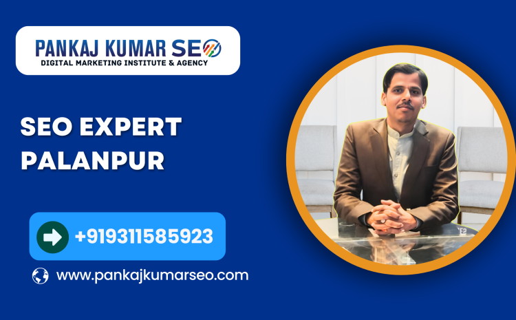 SEO Expert Palanpur
